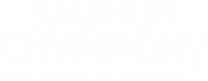 Saumur Champigny, vins ouverts d'esprit